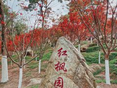 -广州市帽峰山景区