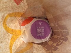 麦满分大脆鸡扒-麦当劳(凌云天地长桥店)