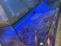 -江南村海鲜馆(洞头店)