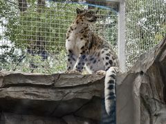 -青藏高原野生动物园