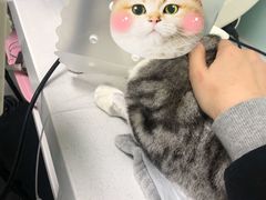 -达爱动物医院·犬猫分区·CT·复杂眼科(远洋山水分院)