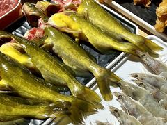 -铭记蛙小仙·活蛙畅享(CBD万达广场店)