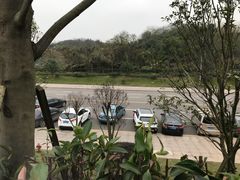 -枫香湖儿童公园