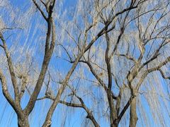 -颐和园-画中游