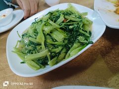 -新合益乡村农庄