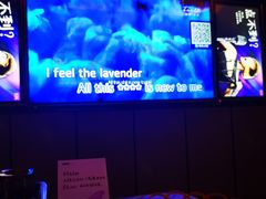 -星聚会KTV(苏州尹山湖歌林公园店)