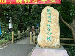 -板樟山森林公园