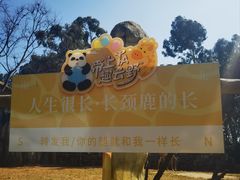 -云南野生动物园