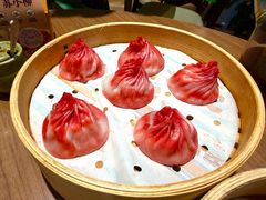 -苏小柳点心·手作小笼包(新世界新丸中心店)