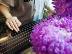 -诗宇时光茶艺书法古琴培训