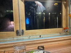 -0907餐厅(核桃园店)