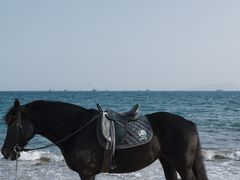 -玫瑰海岸文化旅游度假区