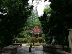 android_upload_pic-八大关景区
