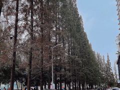 -张公桥美食街