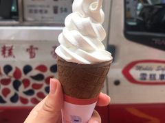 -富豪雪糕车流动点(尖沙咀店)