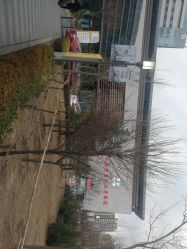 -天津市儿童医院(北辰龙岩院区)