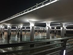 -演武大桥观景平台