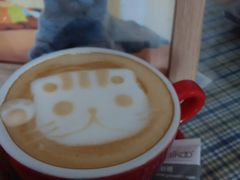 -壹六猫窝(谷德店)