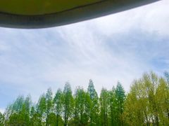 -范蠡湖公园