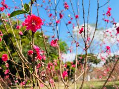 -水濂山水库景点停车场