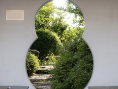 -八大山人梅湖景区