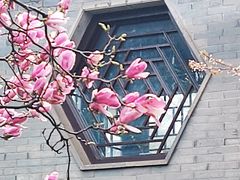 -溱湖八鲜菜馆