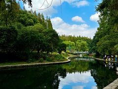 -上海共青森林公园