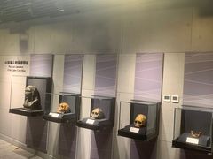 -北京周口店北京人遗址博物馆
