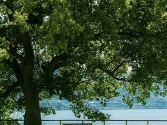 -晓琦农家菜馆·地道农家菜
