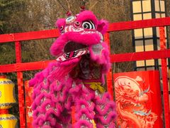 -洛阳市隋唐城遗址植物园