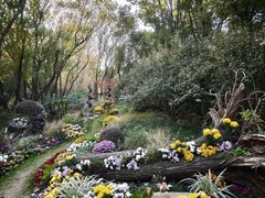 -共青国家森林公园-售票处