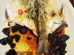 -龙悦湾酒家·八阵鱼生·渔人码头店