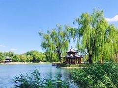 景点-陶然亭公园