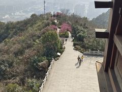 -杭州半山国家森林公园