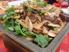 -金蝉食府(维吉奥广场店)