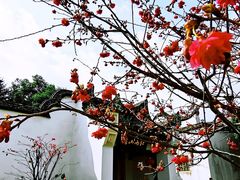-乌山风景区