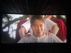 -大地影院(宁波培罗成店)