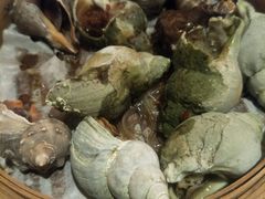 -马哥孛罗咖啡厅·Cafe Marco (厦门马哥孛罗东方大酒店)