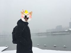 -天鹅湖体育公园