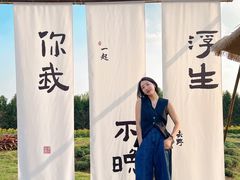 -金卉庄园