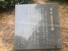 -龙井村