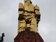 -大金鹰园