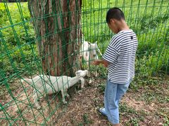 -福建鲤鱼洲酒店