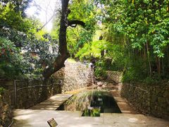 -达蓬山旅游度假区
