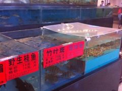 -都市阳光海鲜城(青山湖店)