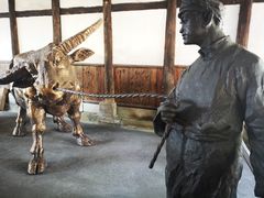 -燊海井