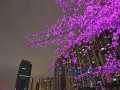 -西北湖绿化广场