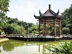 -广州神农草堂中医药博物馆