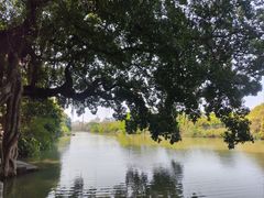 -小洲村