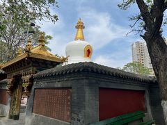 -护国法轮寺